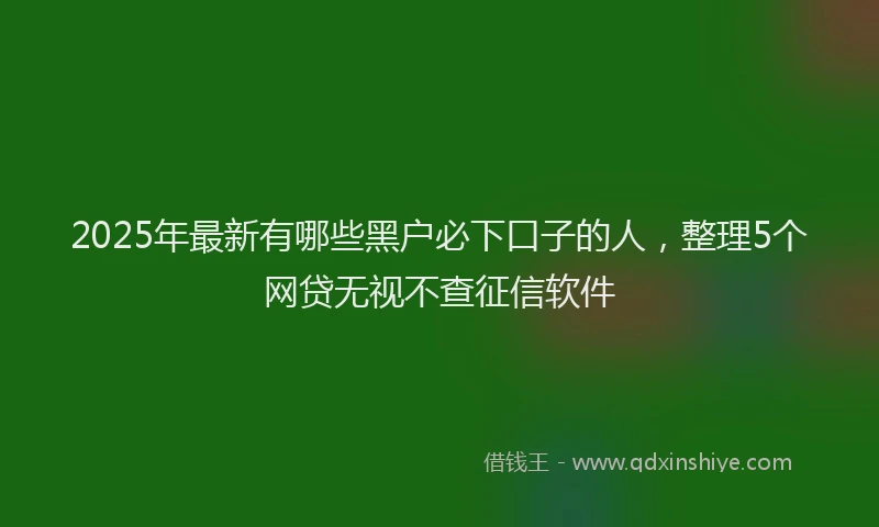 2025年最新有哪些黑户必下口子的人，整理5个网贷无视不查征信软件