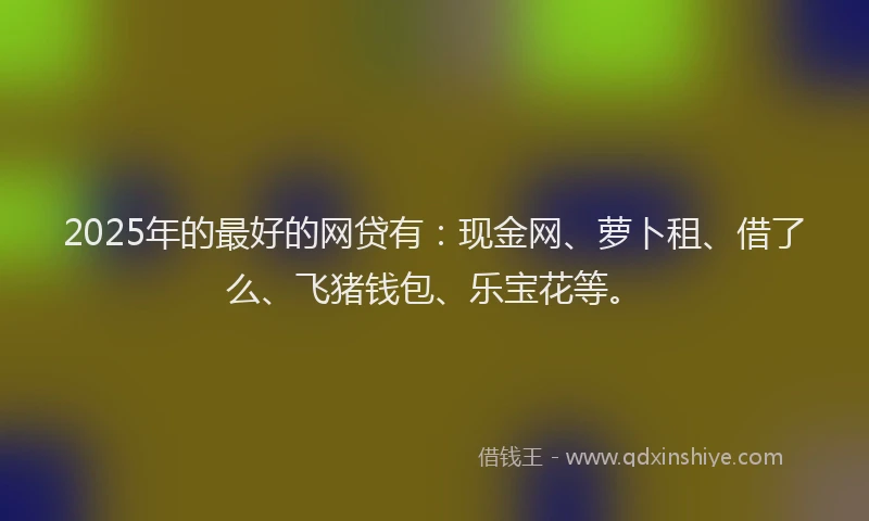 2025年的最好的网贷有：现金网、萝卜租、借了么、飞猪钱包、乐宝花等。