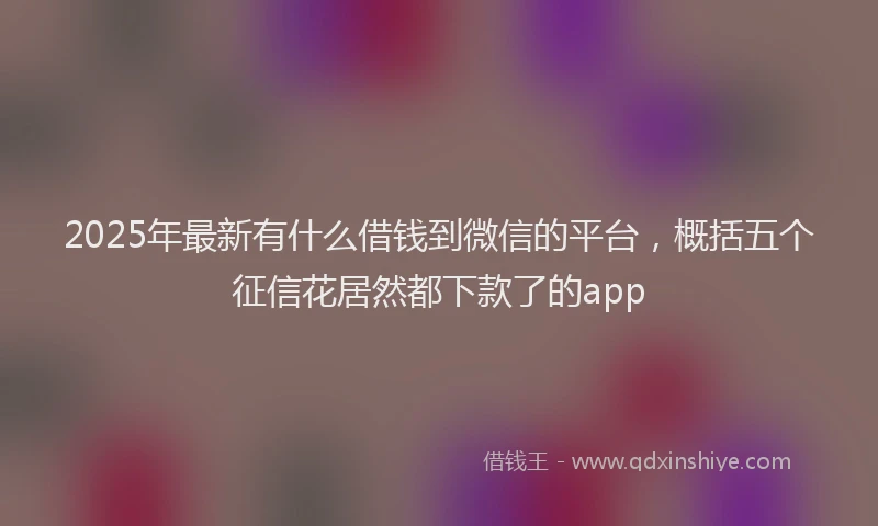 2025年最新有什么借钱到微信的平台，概括五个征信花居然都下款了的app