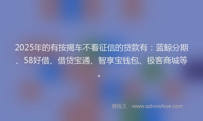 2025年的有按揭车不看征信的贷款有：蓝鲸分期、58好借、借贷宝通、智享宝钱包、极客商城等。