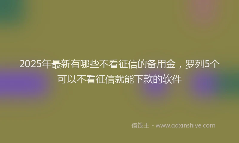 2025年最新有哪些不看征信的备用金，罗列5个可以不看征信就能下款的软件
