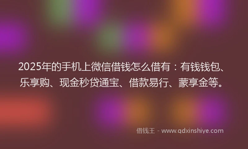 2025年的手机上微信借钱怎么借有：有钱钱包、乐享购、现金秒贷通宝、借款易行、蒙享金等。