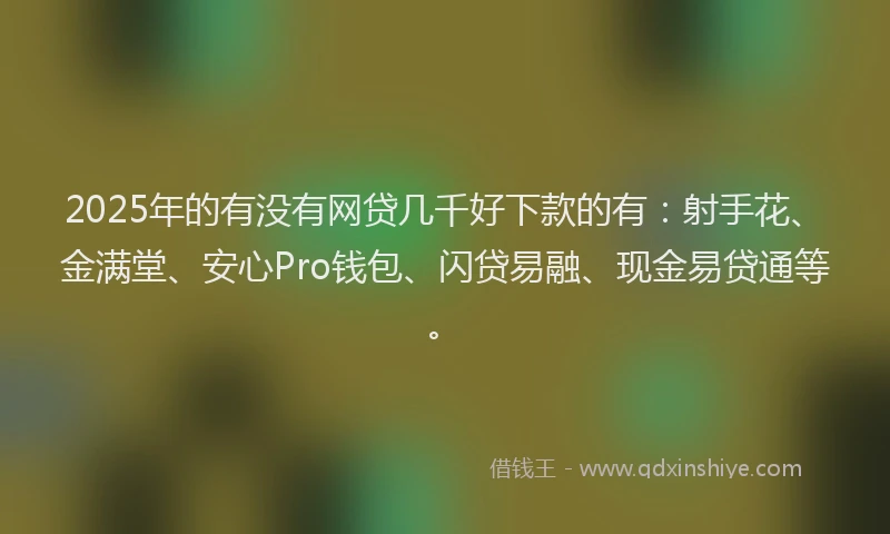 2025年的有没有网贷几千好下款的有：射手花、金满堂、安心Pro钱包、闪贷易融、现金易贷通等。