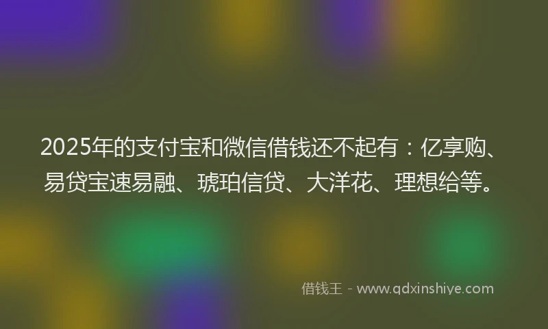 2025年的支付宝和微信借钱还不起有：亿享购、易贷宝速易融、琥珀信贷、大洋花、理想给等。