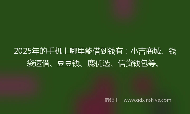2025年的手机上哪里能借到钱有：小吉商城、钱袋速借、豆豆钱、鹿优选、信贷钱包等。