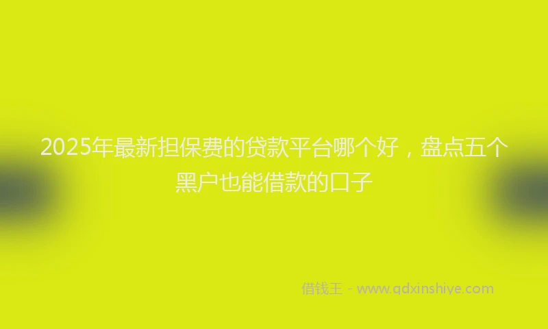 2025年最新担保费的贷款平台哪个好，盘点五个黑户也能借款的口子