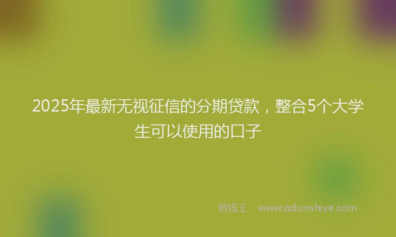 2025年最新无视征信的分期贷款，整合5个大学生可以使用的口子