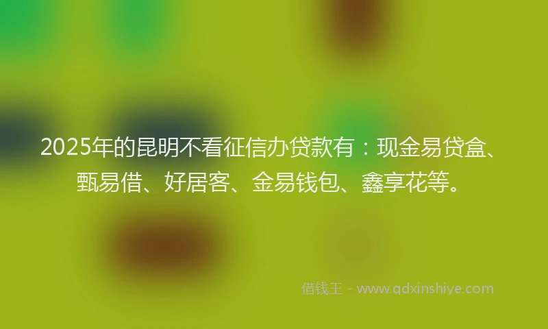 2025年的昆明不看征信办贷款有：现金易贷盒、甄易借、好居客、金易钱包、鑫享花等。