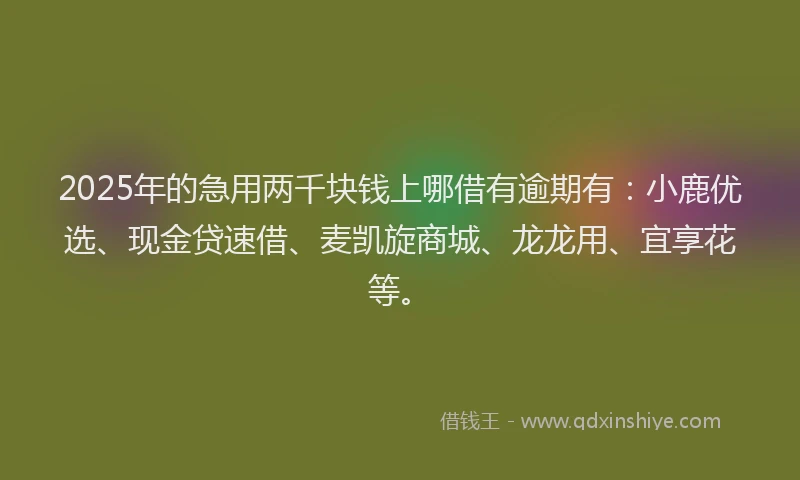 2025年的急用两千块钱上哪借有逾期有：小鹿优选、现金贷速借、麦凯旋商城、龙龙用、宜享花等。
