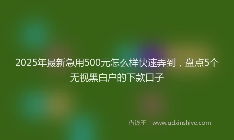 2025年最新急用500元怎么样快速弄到，盘点5个无视黑白户的下款口子