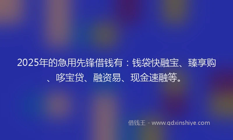 2025年的急用先锋借钱有：钱袋快融宝、臻享购、哆宝贷、融资易、现金速融等。