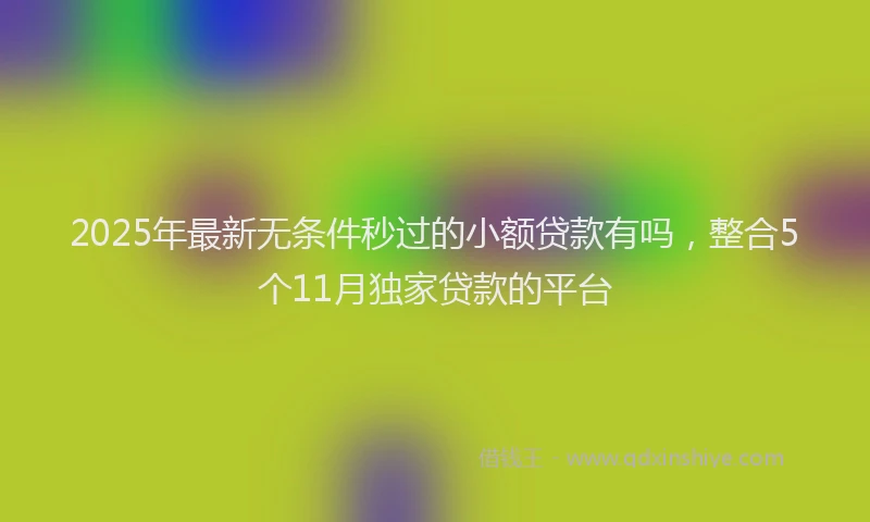 2025年最新无条件秒过的小额贷款有吗，整合5个11月独家贷款的平台