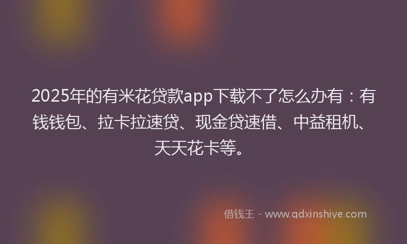 2025年的有米花贷款app下载不了怎么办有：有钱钱包、拉卡拉速贷、现金贷速借、中益租机、天天花卡等。