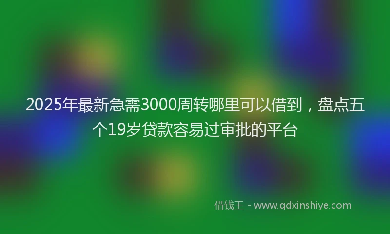 2025年最新急需3000周转哪里可以借到，盘点五个19岁贷款容易过审批的平台