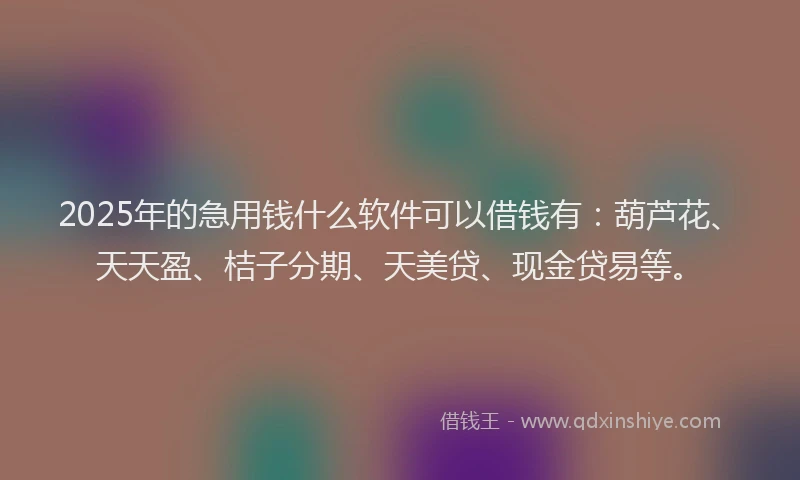 2025年的急用钱什么软件可以借钱有：葫芦花、天天盈、桔子分期、天美贷、现金贷易等。