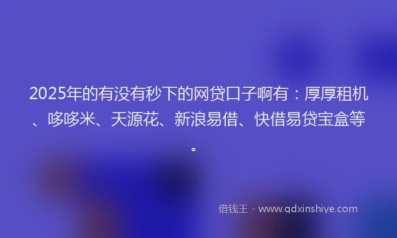 2025年的有没有秒下的网贷口子啊有：厚厚租机、哆哆米、天源花、新浪易借、快借易贷宝盒等。