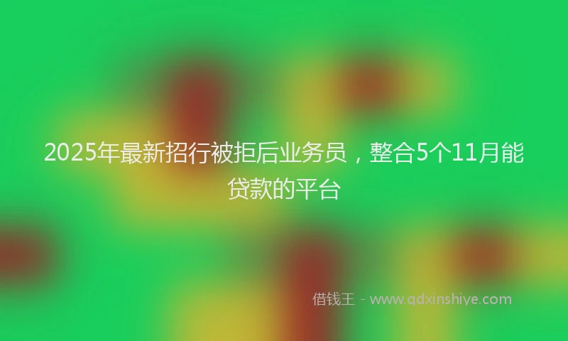 2025年最新招行被拒后业务员，整合5个11月能贷款的平台