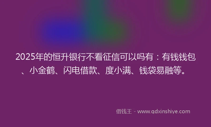 2025年的恒升银行不看征信可以吗有：有钱钱包、小金鹤、闪电借款、度小满、钱袋易融等。