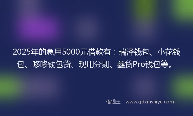 2025年的急用5000元借款有：瑞泽钱包、小花钱包、哆哆钱包贷、现用分期、鑫贷Pro钱包等。