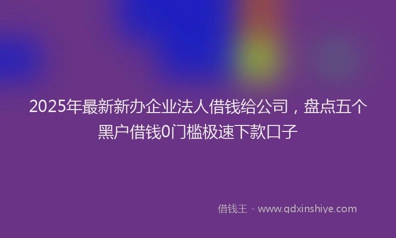 2025年最新新办企业法人借钱给公司，盘点五个黑户借钱0门槛极速下款口子