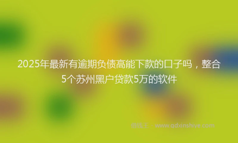 2025年最新有逾期负债高能下款的口子吗，整合5个苏州黑户贷款5万的软件
