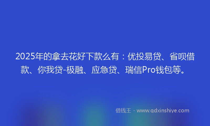 2025年的拿去花好下款么有：优投易贷、省呗借款、你我贷-极融、应急贷、瑞信Pro钱包等。