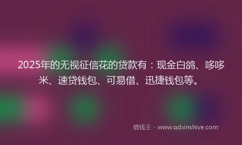 2025年的无视征信花的贷款有：现金白鸽、哆哆米、速贷钱包、可易借、迅捷钱包等。