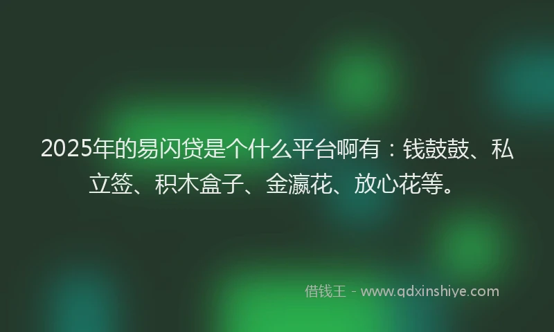 2025年的易闪贷是个什么平台啊有：钱鼓鼓、私立签、积木盒子、金瀛花、放心花等。
