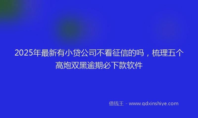 2025年最新有小贷公司不看征信的吗，梳理五个高炮双黑逾期必下款软件