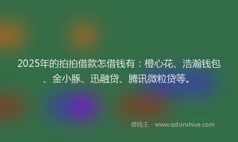 2025年的拍拍借款怎借钱有：橙心花、浩瀚钱包、金小豚、迅融贷、腾讯微粒贷等。