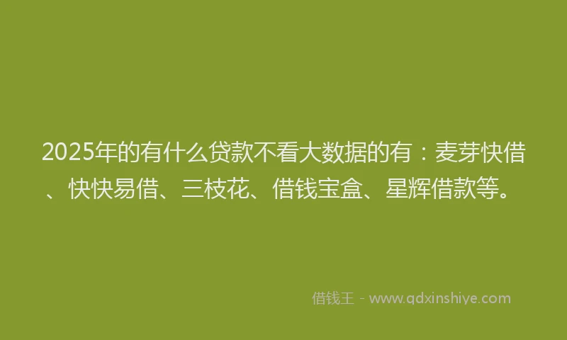 2025年的有什么贷款不看大数据的有：麦芽快借、快快易借、三枝花、借钱宝盒、星辉借款等。
