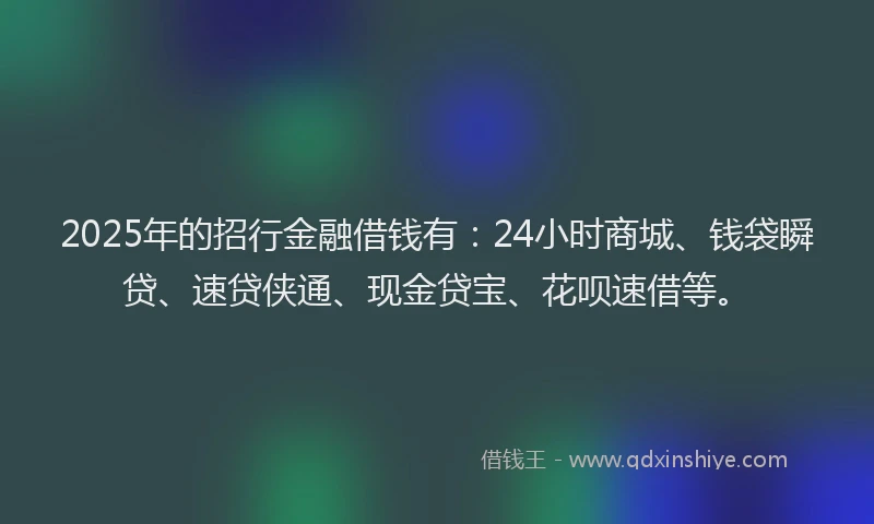 2025年的招行金融借钱有：24小时商城、钱袋瞬贷、速贷侠通、现金贷宝、花呗速借等。