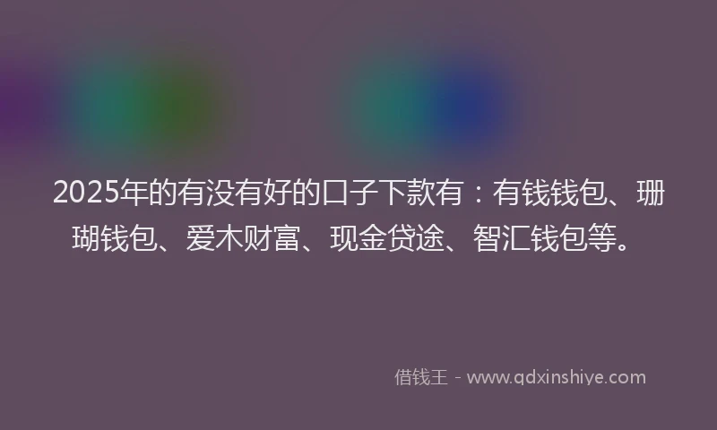 2025年的有没有好的口子下款有：有钱钱包、珊瑚钱包、爱木财富、现金贷途、智汇钱包等。