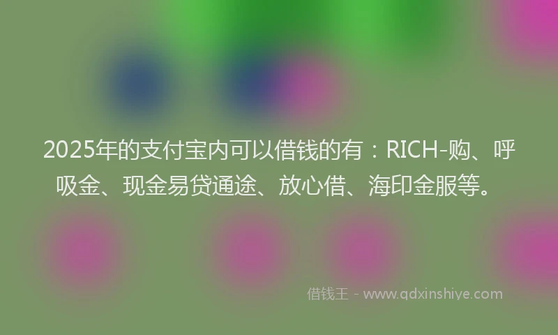 2025年的支付宝内可以借钱的有：RICH-购、呼吸金、现金易贷通途、放心借、海印金服等。