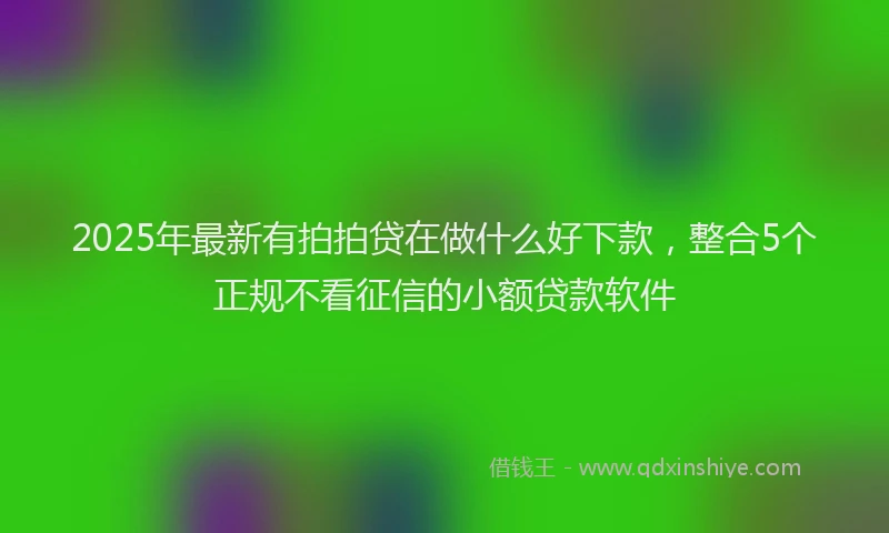 2025年最新有拍拍贷在做什么好下款，整合5个正规不看征信的小额贷款软件