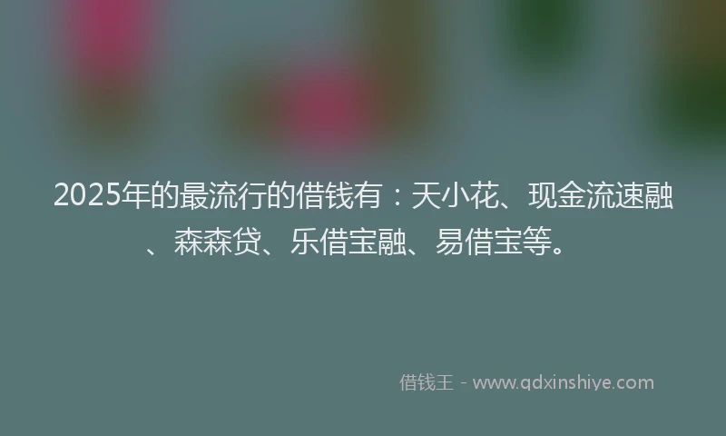 2025年的最流行的借钱有：天小花、现金流速融、森森贷、乐借宝融、易借宝等。