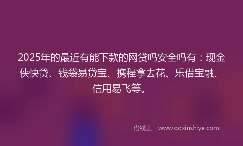 2025年的最近有能下款的网贷吗安全吗有：现金侠快贷、钱袋易贷宝、携程拿去花、乐借宝融、信用易飞等。