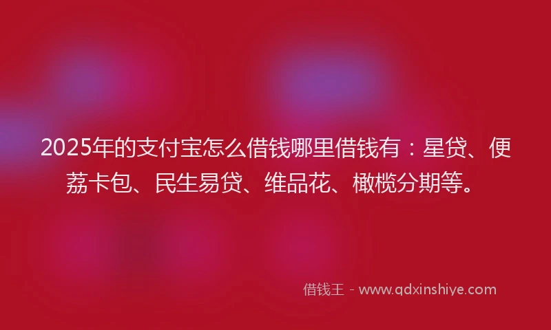 2025年的支付宝怎么借钱哪里借钱有：星贷、便荔卡包、民生易贷、维品花、橄榄分期等。