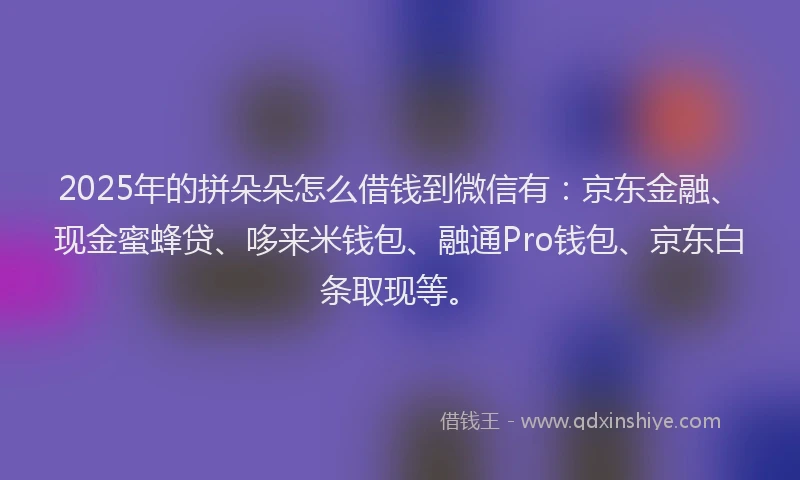 2025年的拼朵朵怎么借钱到微信有：京东金融、现金蜜蜂贷、哆来米钱包、融通Pro钱包、京东白条取现等。