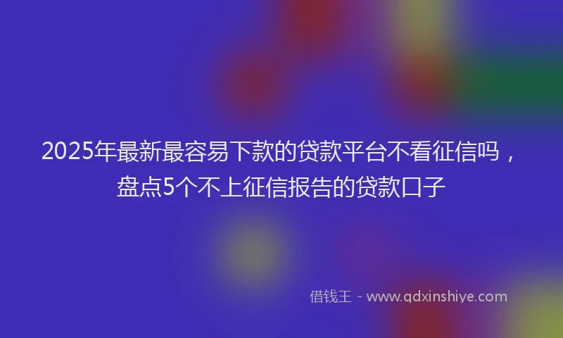 2025年最新最容易下款的贷款平台不看征信吗，盘点5个不上征信报告的贷款口子