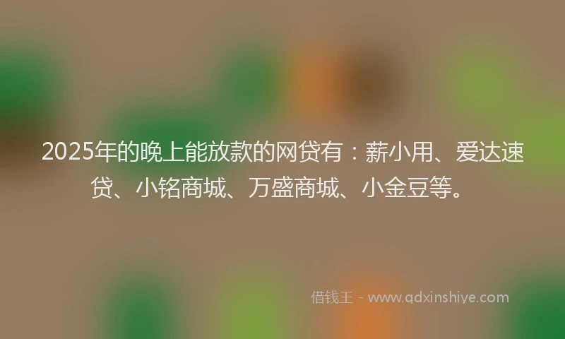 2025年的晚上能放款的网贷有：薪小用、爱达速贷、小铭商城、万盛商城、小金豆等。