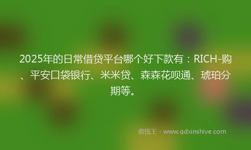 2025年的日常借贷平台哪个好下款有：RICH-购、平安口袋银行、米米贷、森森花呗通、琥珀分期等。