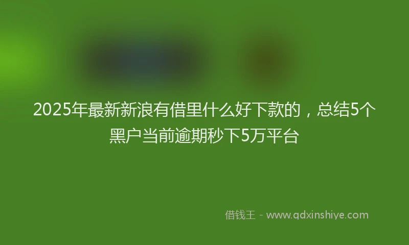 2025年最新新浪有借里什么好下款的，总结5个黑户当前逾期秒下5万平台