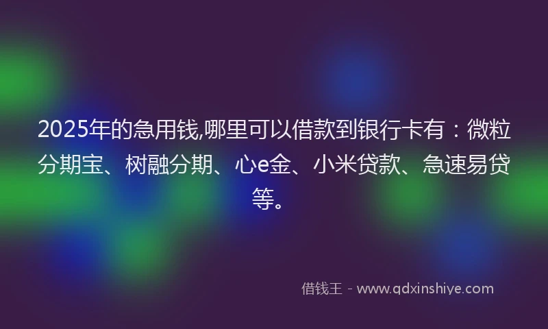 2025年的急用钱,哪里可以借款到银行卡有：微粒分期宝、树融分期、心e金、小米贷款、急速易贷等。
