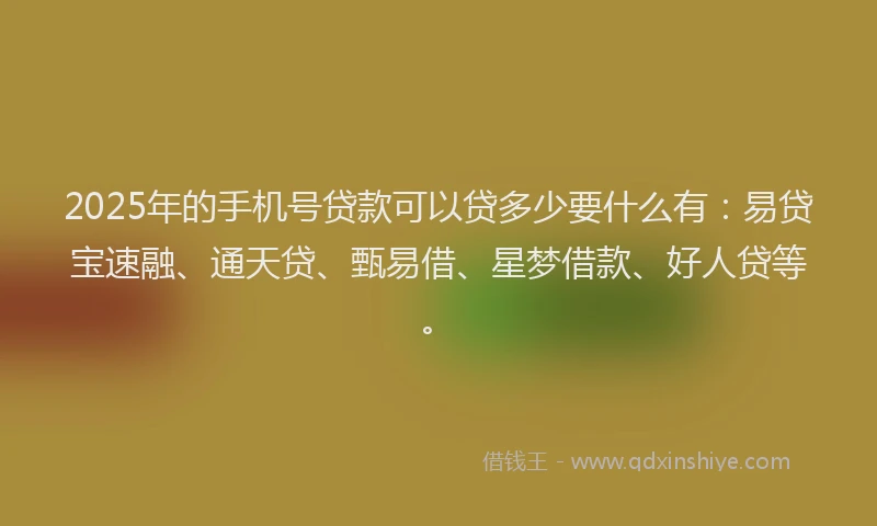 2025年的手机号贷款可以贷多少要什么有：易贷宝速融、通天贷、甄易借、星梦借款、好人贷等。