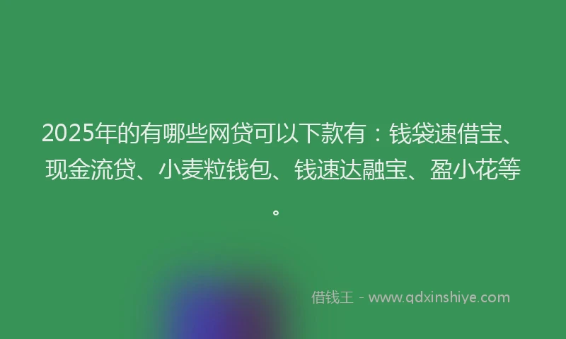 2025年的有哪些网贷可以下款有：钱袋速借宝、现金流贷、小麦粒钱包、钱速达融宝、盈小花等。