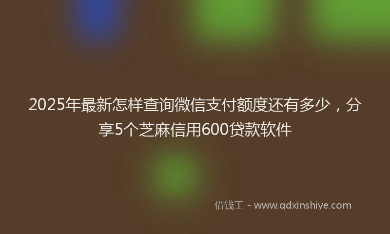 2025年最新怎样查询微信支付额度还有多少，分享5个芝麻信用600贷款软件