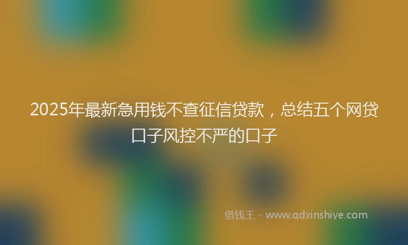 2025年最新急用钱不查征信贷款，总结五个网贷口子风控不严的口子
