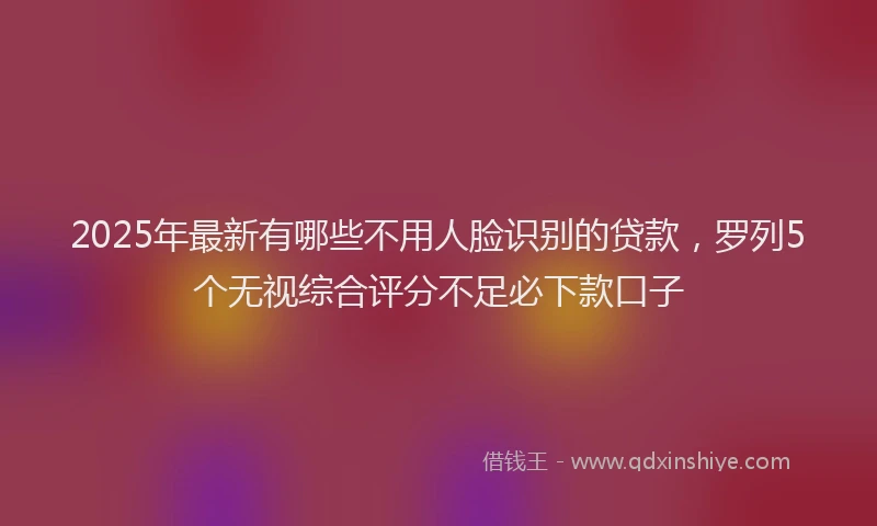 2025年最新有哪些不用人脸识别的贷款，罗列5个无视综合评分不足必下款口子