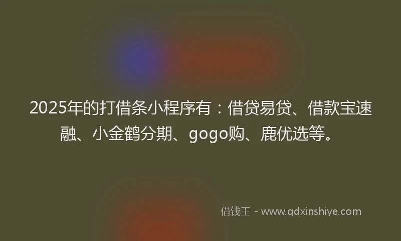 2025年的打借条小程序有：借贷易贷、借款宝速融、小金鹤分期、gogo购、鹿优选等。